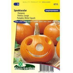 Pompoenzaden Halloween