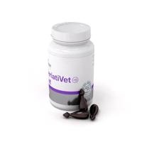 VET EXPERT GeriatiVet Cat - ondersteunend preparaat voor oudere katten - 60 capsules. - thumbnail