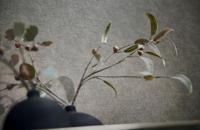 Livingwalls Smart Surfaces - Grijs - Structuur - 395661 - thumbnail