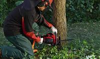 Einhell GC-PC 2040 I Kettingzaag Benzine 2000 W Lengte mes 400 mm Met beschermbeugel - thumbnail
