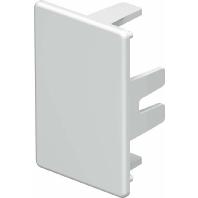 OBO Bettermann 6193196 Eindstuk (b x h) 45 mm x 30 mm Zuiver wit 10 stuk(s) - thumbnail