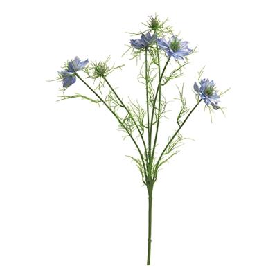Nigella damascena blauw 66cm