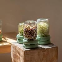 Food Huggers Sprout huggers - kweek je eigen groenten - sage green - thumbnail