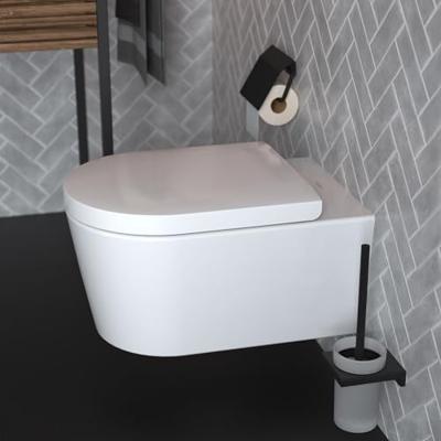 Hansgrohe Addstoris closetborstelgarnituur mat zwart 41752670 - thumbnail
