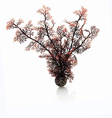 BiOrb koraal medium donkerrood aquarium decoratie