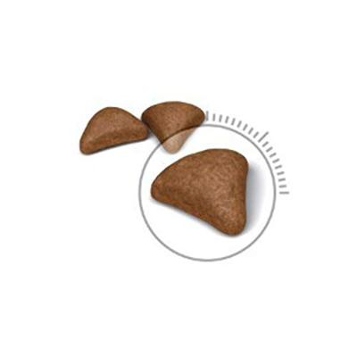 ROYAL CANIN Hairball Care Adult - droog kattenvoer - 400g