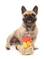 Fuzzyard duck firequacker pluche - thumbnail