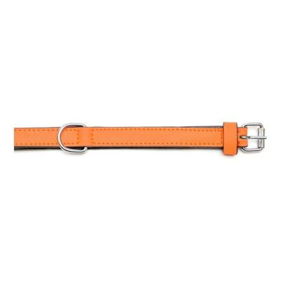Hondenhalsband Gloria Gestoffeerd Oranje (40 cm) (40 x 2 cm)