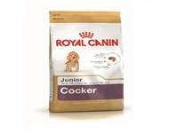 Royal Canin 6656509 C-08941 S.H. Nut Cocker Junior - 3 kg,cranberry - thumbnail