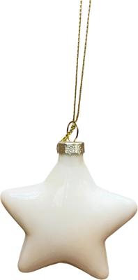 Kerstbal ster parel 8x8 cm Uniplant - Uniplant Kerstbal ster parel 8x8 cm Uniplant - Uniplant