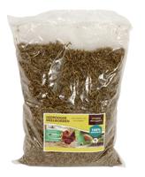 UTOPIA MEELWORMEN VOOR KIPPEN EN TUINVOGELS 1 KG - thumbnail