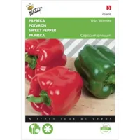 Zaden Paprika Yolo Wonder Buzzy - Buzzy - thumbnail