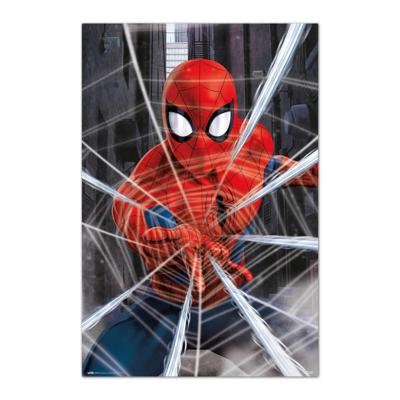 Poster Marvel - Gotcha 61x91,5cm