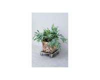 Nature Square Plantenwagen 38x38 cm Zwart Hout 446407 - thumbnail