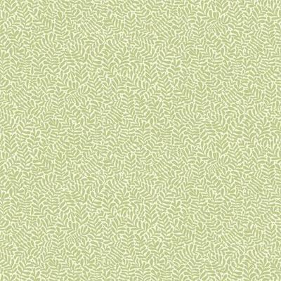 Midbec FC Lina- Anna Light green - 55001