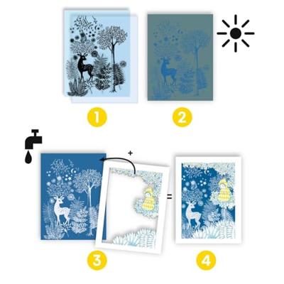 Cyanotype in het maanlicht - DJECO meerkleurig - thumbnail