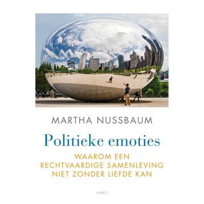 Politieke emoties (Paperback)
