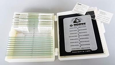 Konus Preparaten Set Zoölogie 1 (10 Stuks)