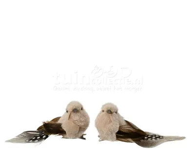 Kerstornament Vogel Clip Bruin 2st Kerstornament Vogel Clip Bruin 2st