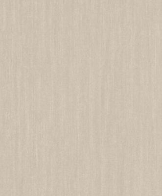 Emil & Hugo Moana 299938