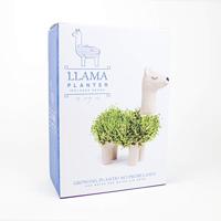 Gift Republic Llama Planter met zaden (aardewerk) - thumbnail
