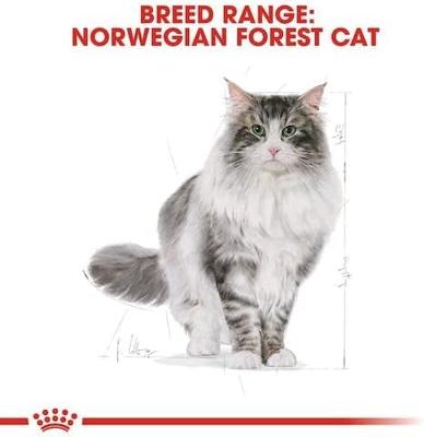Royal Canin Feline Breed Norwegische Waldkatze 400g