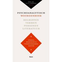 Psychoanalytisch woordenboek (Paperback) - thumbnail