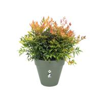 Elho Pot+wiel loft urban d40cm groen - thumbnail