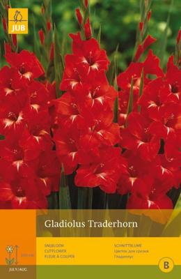 Gladiolus traderhorn 10st bloembol zomer Gladiool JUB - Jub