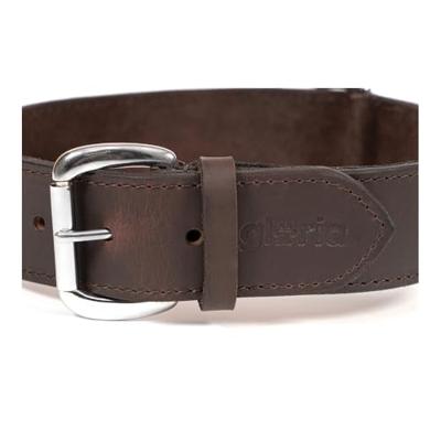 Hondenhalsband Gloria Bruin (85 x 4 cm)