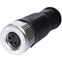 Conec 42-00008 Sensor/actuator connector, niet geassembleerd M8 Aantal polen (sensoren): 4 Bus, recht 1 stuk(s) Piece - thumbnail