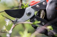 Meister Snoeischaar Bypass Kunststof - WU9719300 - thumbnail