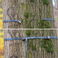 Zeiss Secacam Tree Strap (2x) - thumbnail