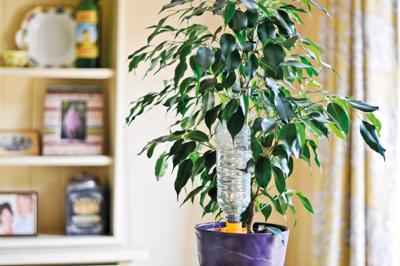 Hozelock Aquasolo 2718 3465 Vakantiebesproeiing niet nodig Hozelock Aquasolo 2718 3465 Vakantiebesproeiing niet nodig