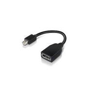 Lenovo 4X90L13971 DisplayPort Adapter [1x Mini-DisplayPort stekker - 1x DisplayPort bus] Zwart 0 m - thumbnail
