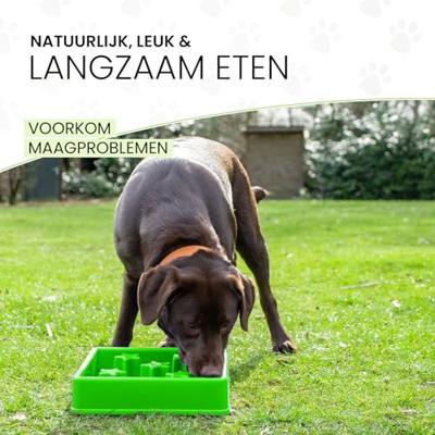 Eat Slow Live Longer Star Green L