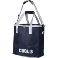 Basic Koeltas 18l 29x21x31 cm donkerblauw/wit - thumbnail
