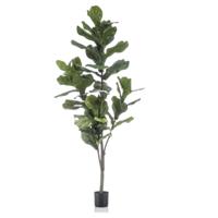 Kunstboom Ficus Lyrata 150cm - thumbnail
