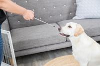 Trixie dog activity target stick aanwijsstok assorti - thumbnail