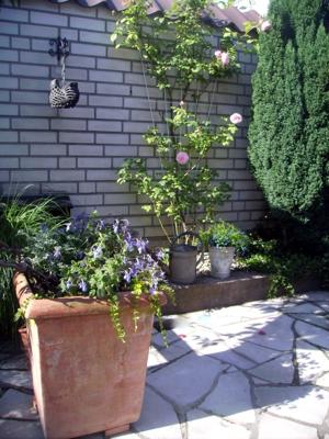 Metalen klimrek V-vorm recht grijs