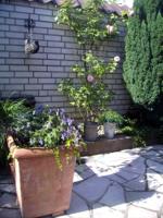 Metalen klimrek V-vorm recht grijs - thumbnail