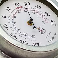 NeXtime NE-4302GA Buitenthermometer 22CM Metaal Gegalvaniseerd Lily - thumbnail