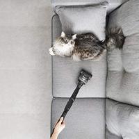 Rowenta RO7473 Stofzuiger met zak Rood - thumbnail