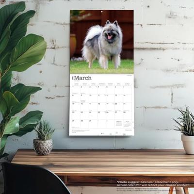 Keeshond Kalender 2026 Keeshond Kalender 2026