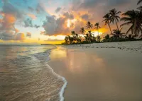 Alexsar Art Tuinschilderij strand palm 70x50cm - thumbnail