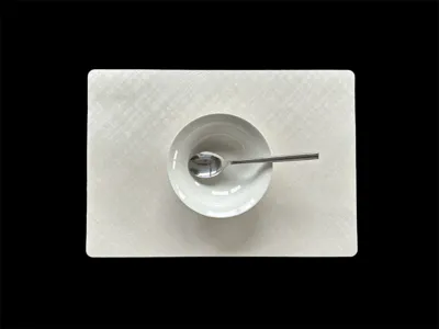 Wicotex Placemats Damasco Polyline Natuur 30x43cm