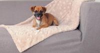 TRIXIE HONDENDEKEN COSY FLEECE BEIGE - thumbnail