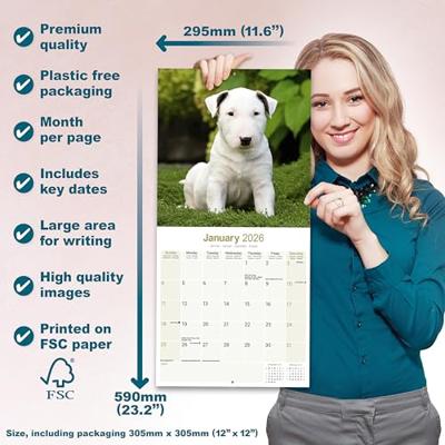 Bull Terrier Kalender 2026