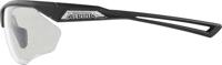 Alpina Nylos HR - Sports Glasses - thumbnail