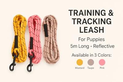 Flamingo Krimp- en zuigerlijn voor puppy's Dolly Oker 5 m 4 mm – met reflecterende strepen en karabijnhaak heeft een matte gouden afwerking